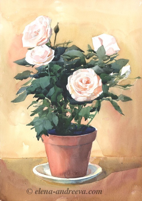 rozyvgorshke_h700px.jpg